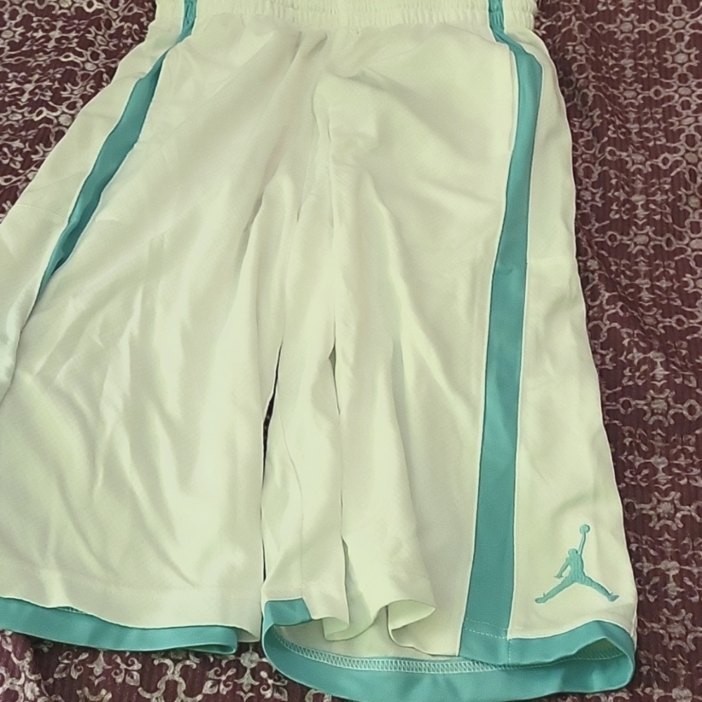Nike Air Jordan Shorts